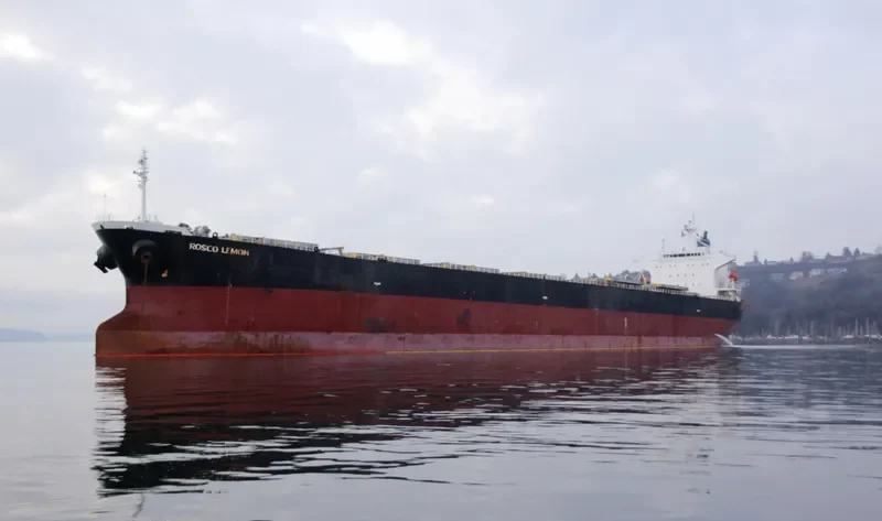 ROSCO LEMON Bulk Carrier IMO 9254707 photo 3