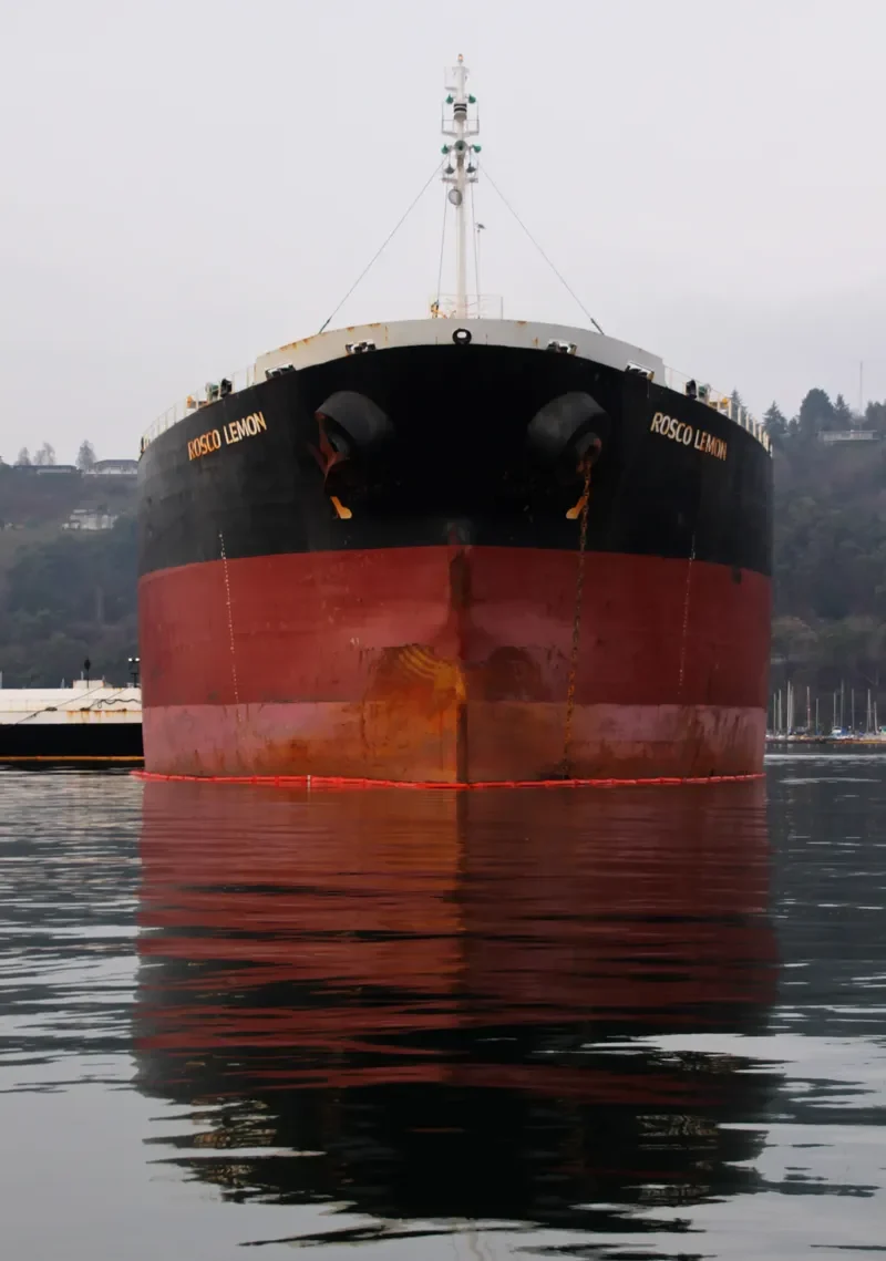 ROSCO LEMON Bulk Carrier IMO 9254707 photo 4