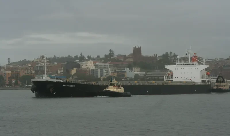 ROSCO LEMON Bulk Carrier IMO 9254707 photo 6