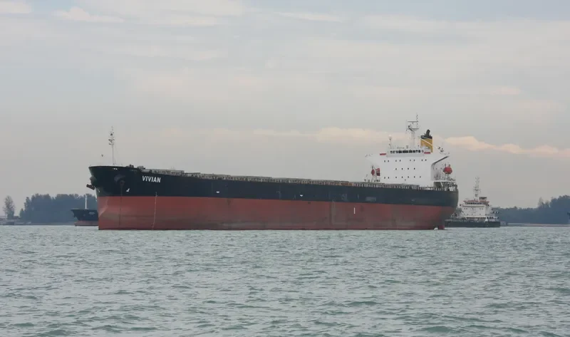 OCEAN GINGER Bulk Carrier IMO 9254719 photo 3
