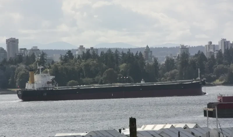 OCEAN GINGER Bulk Carrier IMO 9254719 photo 8