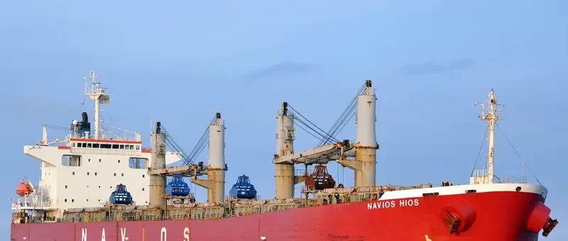 NAVIOS HIOS Bulk Carrier IMO 9254733 photo 5