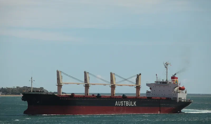 TAN BINH 136 Bulk Carrier IMO 9254745 photo 4