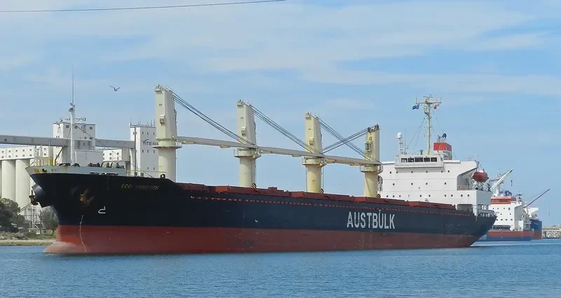 TAN BINH 136 Bulk Carrier IMO 9254745 photo 5
