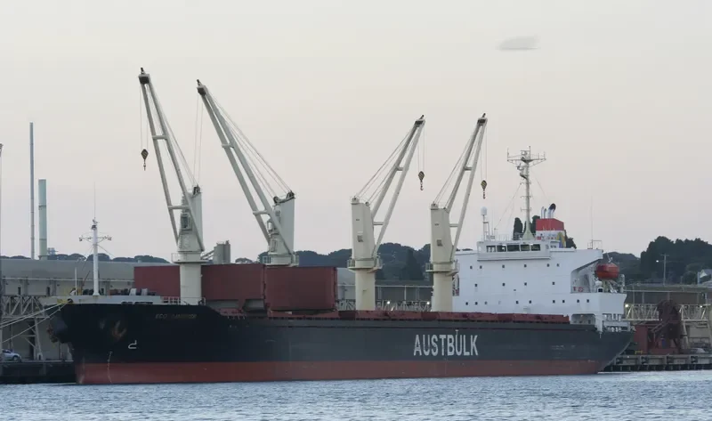 TAN BINH 136 Bulk Carrier IMO 9254745 photo 7