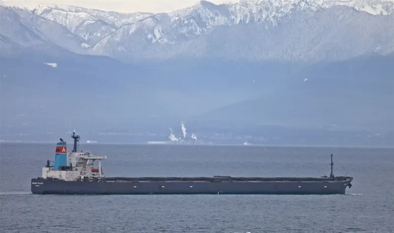 GRANDE SOLARIS Bulk Carrier IMO 9254769 photo 2