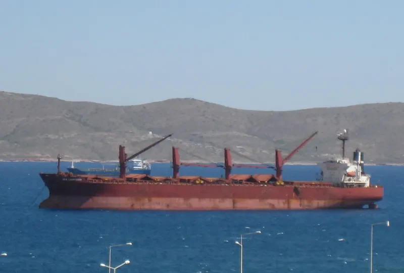 POLES Bulk Carrier IMO 9254989