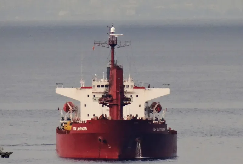 POLES Bulk Carrier IMO 9254989 photo 6