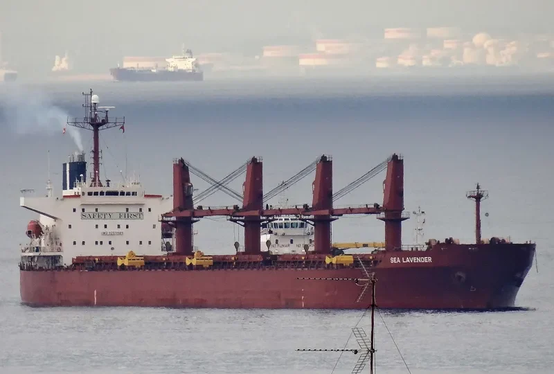 POLES Bulk Carrier IMO 9254989 photo 7