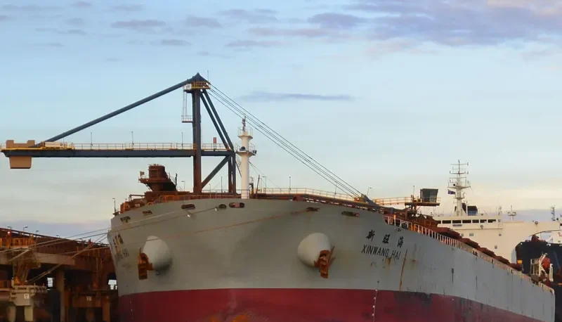 XIN WANG HAI Bulk Carrier IMO 9255012