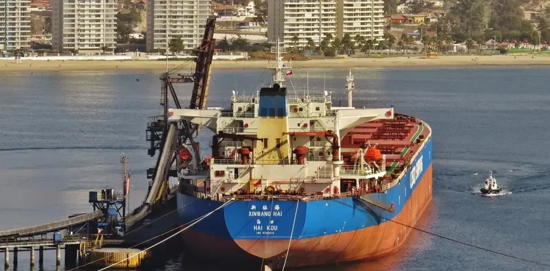 XIN WANG HAI Bulk Carrier IMO 9255012 photo 6