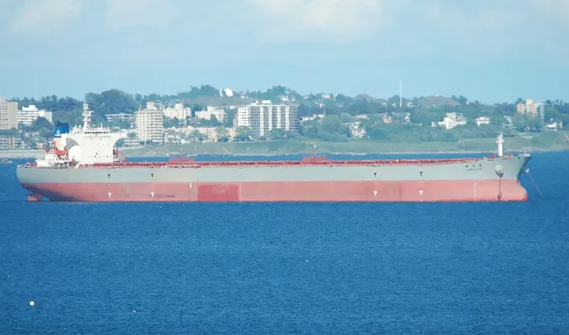 XIN FA HAI Bulk Carrier IMO 9255024