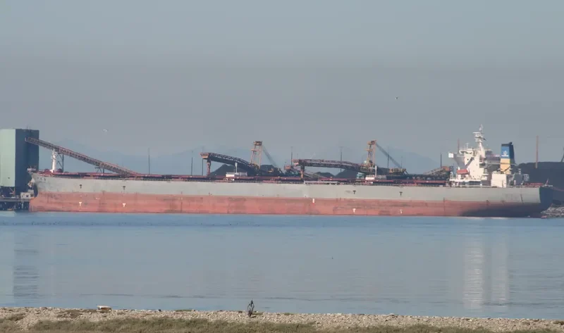 XIN FA HAI Bulk Carrier IMO 9255024 photo 2
