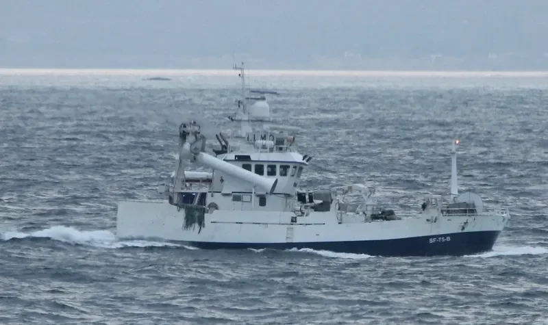 VIBEKE HELENE General Cargo IMO 9255103 photo 5