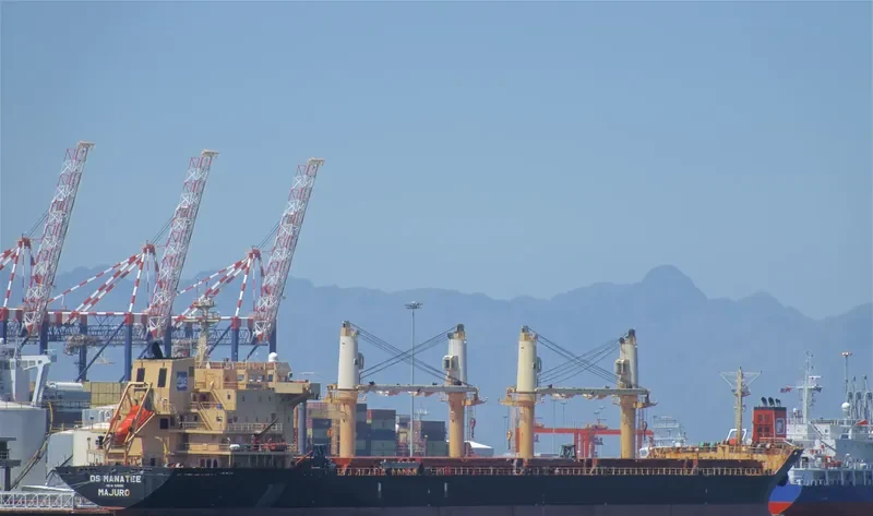 DS MANATEE Bulk Carrier IMO 9255189