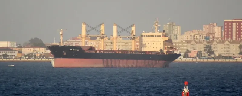 DS MANATEE Bulk Carrier IMO 9255189 photo 8