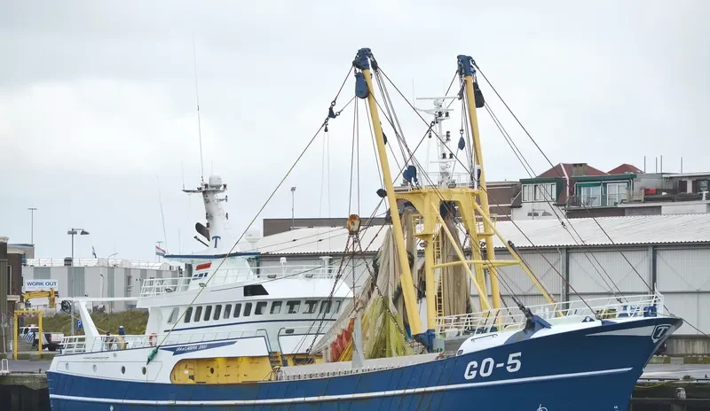 GO 5 ORA ETLABORA General Cargo IMO 9255385 photo 4