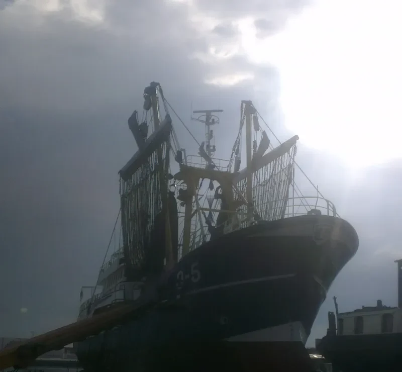 GO 5 ORA ETLABORA General Cargo IMO 9255385 photo 6