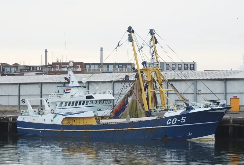 GO 5 ORA ETLABORA General Cargo IMO 9255385 photo 8