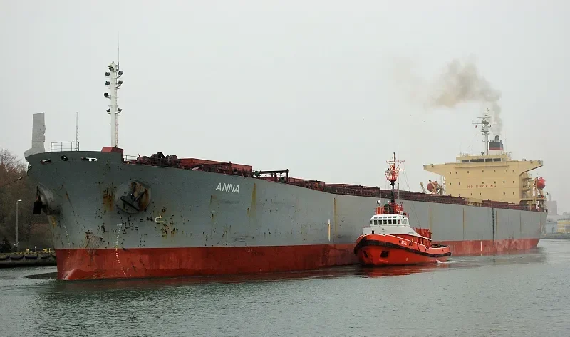 ANNA Bulk Carrier IMO 9255593 photo 5