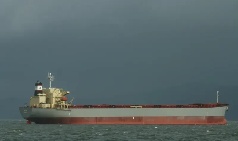 ANNA Bulk Carrier IMO 9255593 photo 11