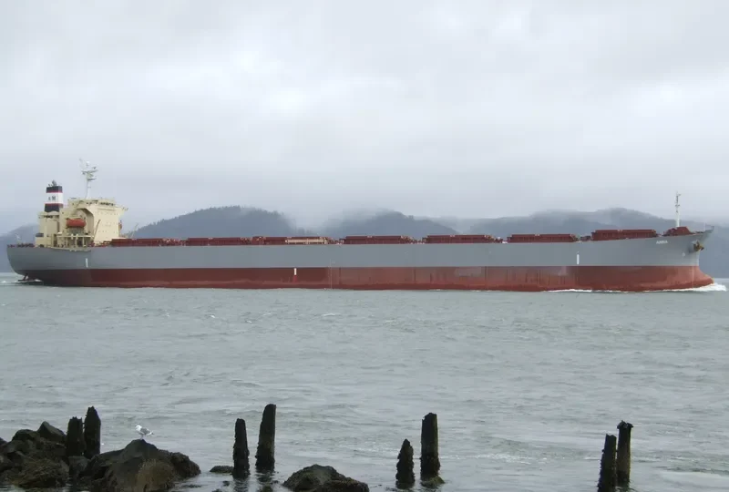 ANNA Bulk Carrier IMO 9255593 photo 14