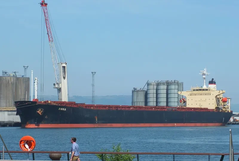 ANNA Bulk Carrier IMO 9255593 photo 28