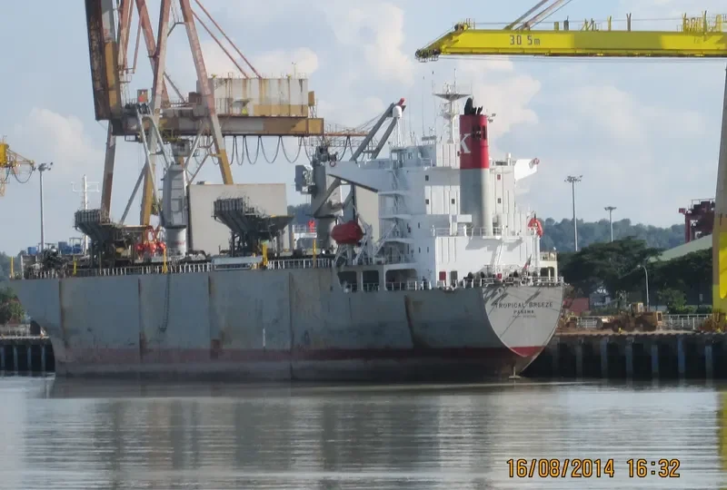 THANH THANH DAT 999 Bulk Carrier IMO 9256444