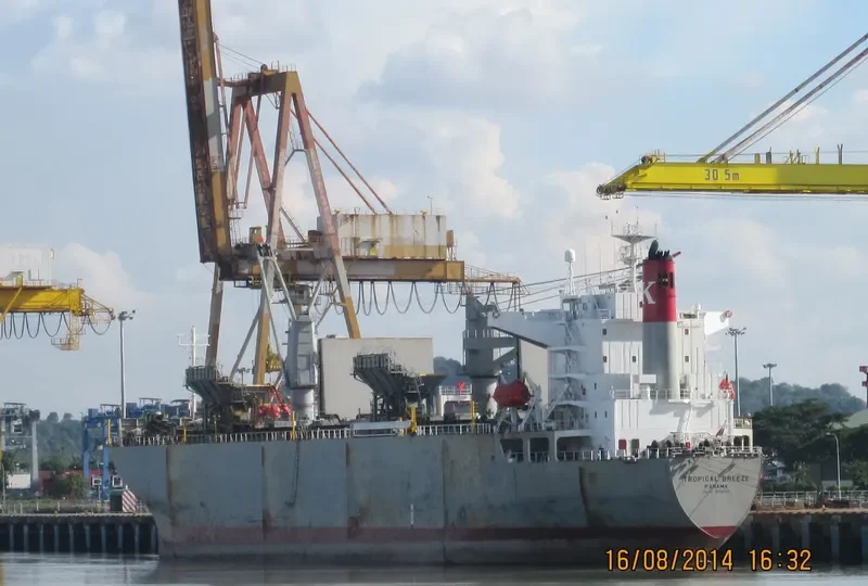 THANH THANH DAT 999 Bulk Carrier IMO 9256444 photo 2