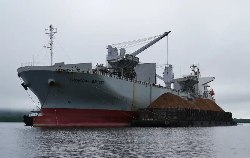 THANH THANH DAT 999 Bulk Carrier IMO 9256444 photo 3