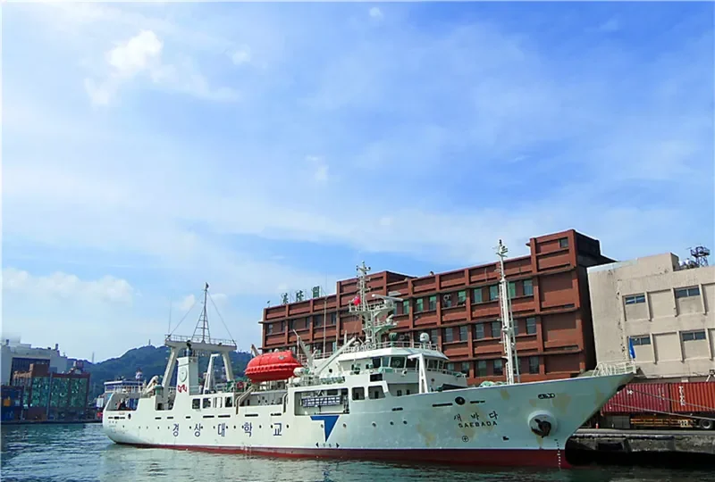 SAEBADA General Cargo IMO 9256688