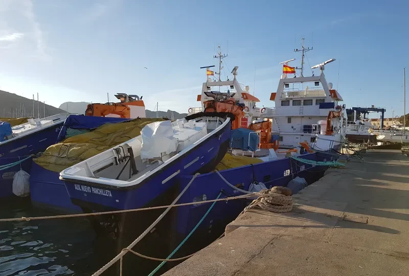 NUEVO PANCHILLETA General Cargo IMO 9256779