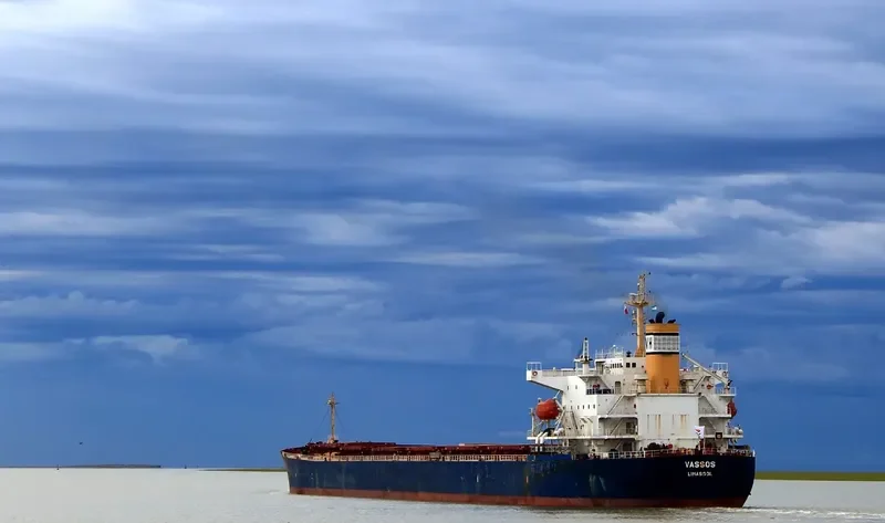 XIN JI XING Bulk Carrier IMO 9256872 photo 2