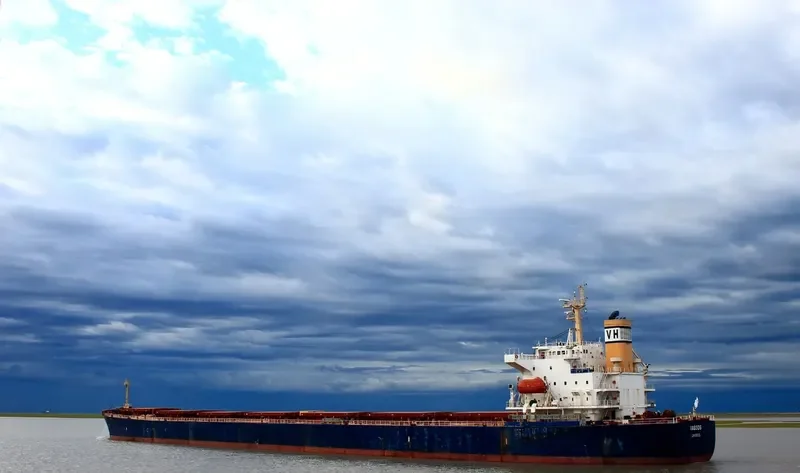 XIN JI XING Bulk Carrier IMO 9256872 photo 3