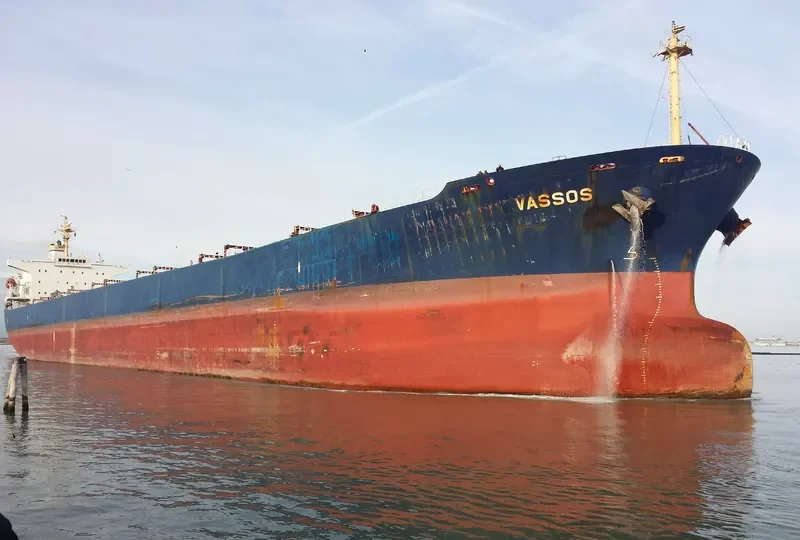 XIN JI XING Bulk Carrier IMO 9256872 photo 5