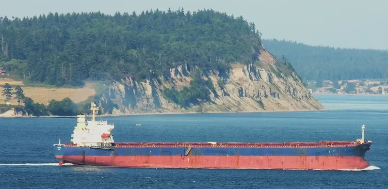XIN JI XING Bulk Carrier IMO 9256872 photo 9