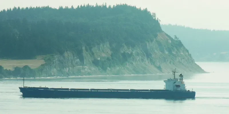 XIN JI XING Bulk Carrier IMO 9256872 photo 10