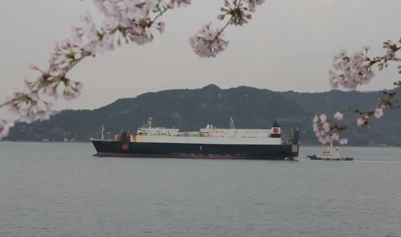 SHINSEN MARU General Cargo IMO 9257034 photo 2