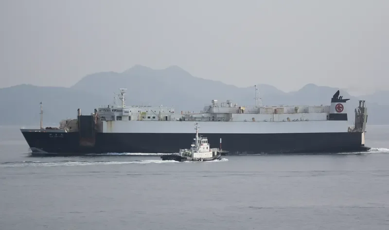 SHINSEN MARU General Cargo IMO 9257034 photo 7