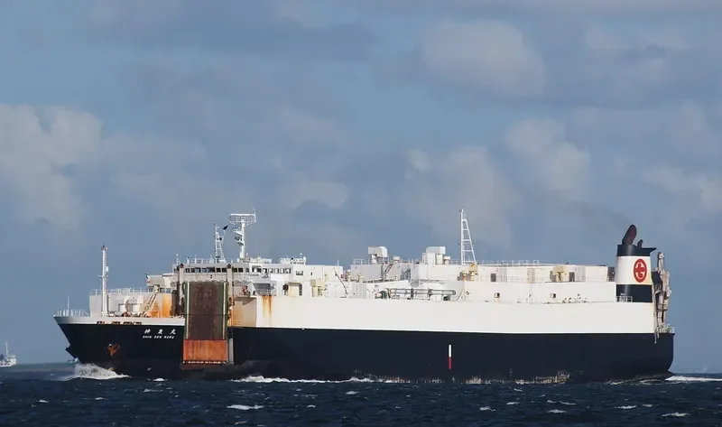 SHINSEN MARU General Cargo IMO 9257034 photo 8