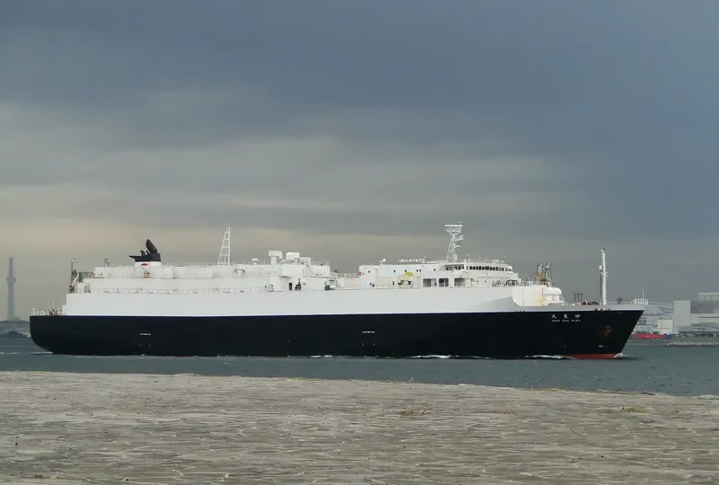 SHINSEN MARU General Cargo IMO 9257034 photo 10