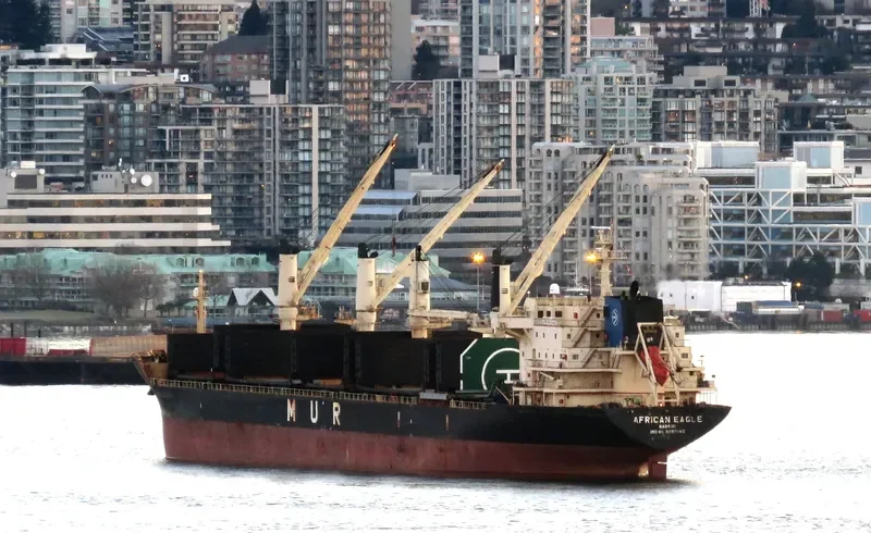 AFRICAN EAGLE Bulk Carrier IMO 9257046 photo 9