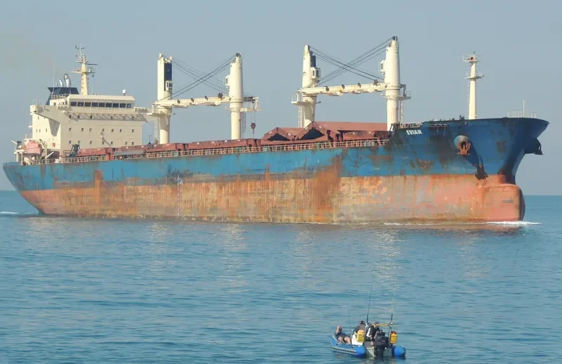 GUO DIAN 36 Bulk Carrier IMO 9257072 photo 7