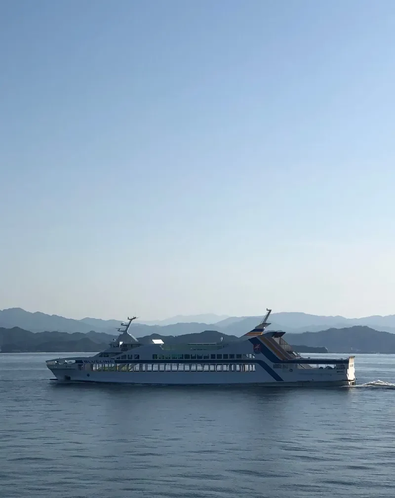 BLUE LINE Ro-Ro IMO 9257101 photo 7