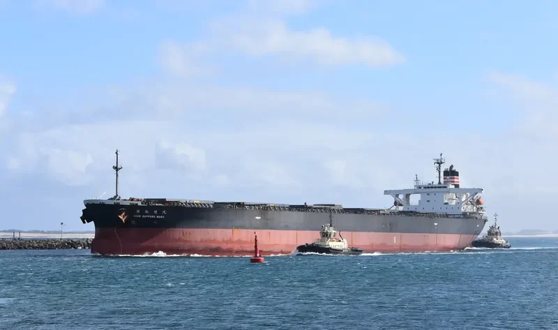 XIN YUAN Bulk Carrier IMO 9257412 photo 3