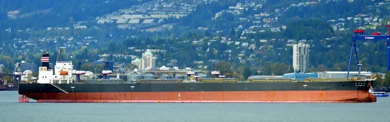 XIN YUAN Bulk Carrier IMO 9257412 photo 7