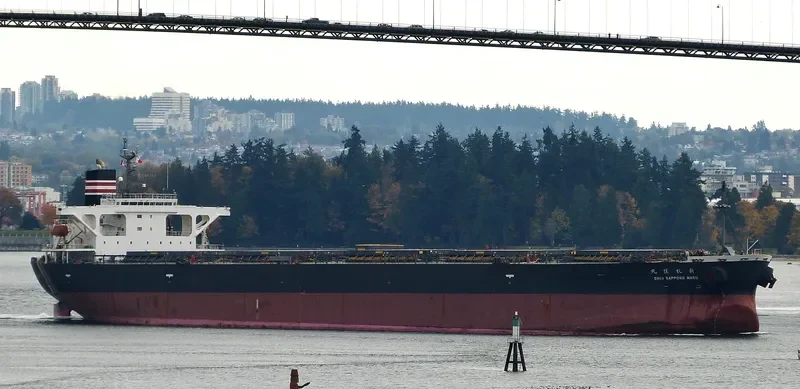 XIN YUAN Bulk Carrier IMO 9257412 photo 8