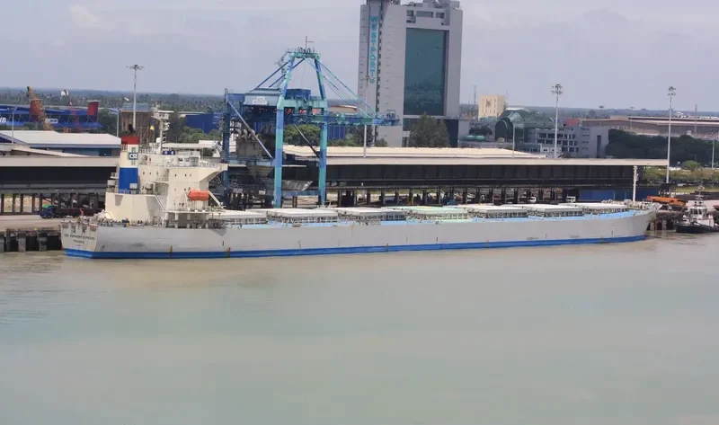 DOOYANG JEJU Bulk Carrier IMO 9257797 photo 3