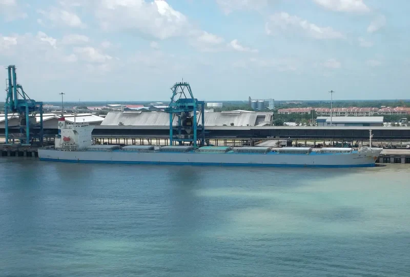 DOOYANG JEJU Bulk Carrier IMO 9257797 photo 4