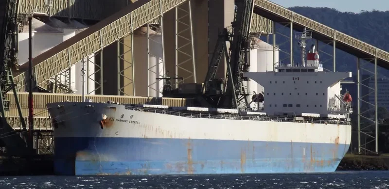 DOOYANG JEJU Bulk Carrier IMO 9257797 photo 8
